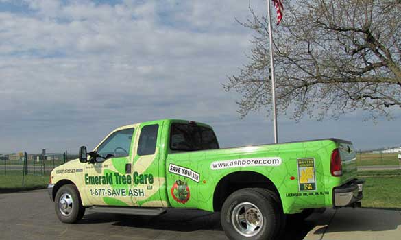 Arborists Schaumburg IL